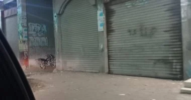 وزارة الداخلية تواصل تنفيذ إجراءات ترشيد استهلاك الكهرباء وتضبط 135 منشأة لمخالفتها مواعيد الإغلاق خلال يوم واحد