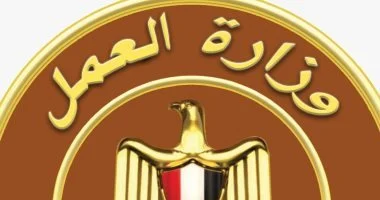 وظائف متاحة في مجال الملابس ببرج العرب براتب يصل إلى 12 ألف جنيه