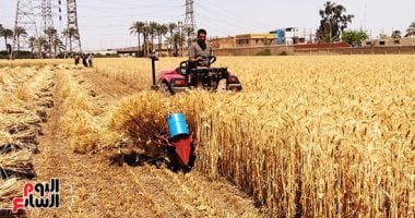 أمن القليوبية يكثف جهوده لكشف تفاصيل حريق محصول قمح بأرض فى بنها