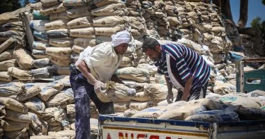 سعر الأسمنت اليوم السبت 15 أغسطس 2026.. استقرار الأسعار فى المصانع والسوق
