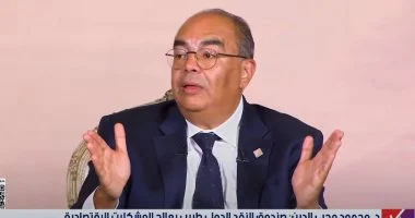 محيي الدين يؤكد ترابط السلام والتنمية كأساس لتحقيق الأهداف التنموية