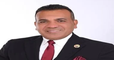 نائب: التيسيرات الصناعية الجديدة تدعم المستثمرين وتنقذ المصانع المتعثرة