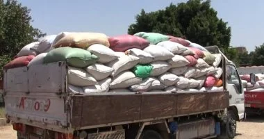 محافظ سوهاج: توريد 57 ألف طن قمح وتجهيز 15 موقعاً تخزينياً لاستيعاب حصاد 199 ألف فدان