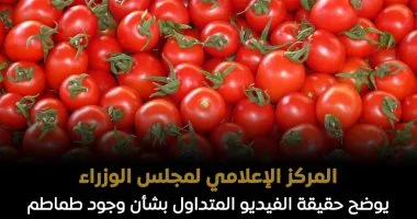 الحكومة توضح حقيقة فيديو متداول بوجود طماطم بالأسواق تم رشها بالإثيريل