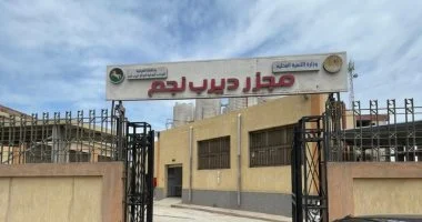 منال عوض تعلن التشغيل التجريبي لمجزر ديرب نجم بالشرقية بتكلفة ٢٢.٤ مليون جنيه