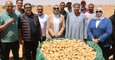 مزارع مركز بلاط بالوادى الجديد تحقق إنتاجية عالية بأجود الأصناف وتقنيات زراعية مبتكرة لتلبية السوق المحلية والتصدير
