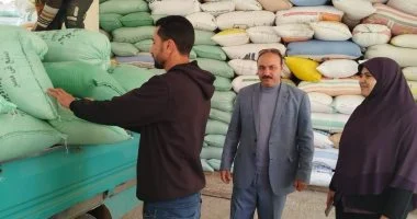 توريد أكثر من 52 ألف طن قمح إلى 25 مركز توريد بكفر الشيخ