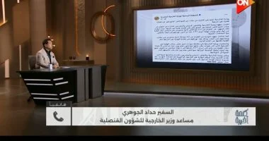 وزارة الخارجية تؤكد ضرورة رفع الوعي وتشديد العقوبات للحد من الهجرة غير الشرعية