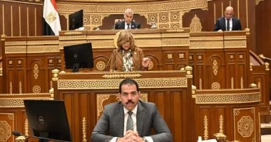 مجلس الشيوخ يناقش تحسين البنية التحتية للمطارات وخفض الخسائر وزيادة حركة الرحلات الجوية