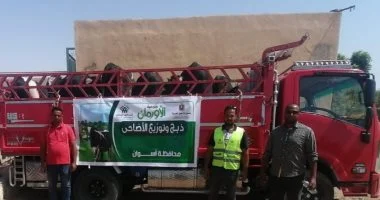 أسوان توزع 50 ألف كيلو لحوم و50 عجلًا دعماً للمجتمع