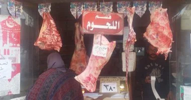 تموين الإسكندرية تكشف خططها للاستعداد لعيد الأضحى في 9 قطاعات متنوعة