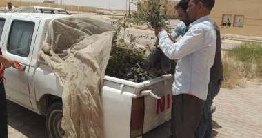 محافظ جنوب سيناء يوجه بتعويض المتضررين من تجمع النهايات برأس سدر