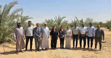 وزارة التضامن تعزز برامج دعم الأسر الأولى بالرعاية ورعاية الأيتام في الوادي الجديد