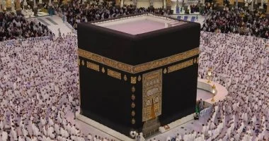 انطلاق نقل حجاج السياحة من المدينة المنورة إلى مكة المكرمة استعداداً لموسم الحج