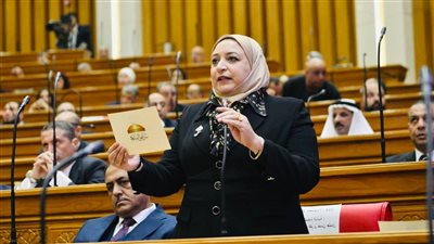 النائبة سحر عتمان تشدد على ضرورة توفير الإنترنت للأسر الأولى بالرعاية باعتباره حقاً أساسياً