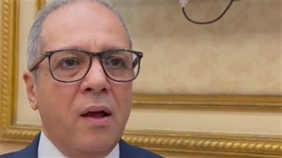 وكيل لجنة الشيوخ يدعو لاتخاذ إجراءات قانونية لمكافحة الاحتيال الإلكتروني