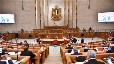 تعاون عربي مشترك للحفاظ على استقرار ليبيا ومواجهة التدخلات الخارجية