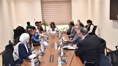 البرلمان المصري يجتمع لأول مرة مع ممثلي شركات الطيران الخاصة والشارتر وسحر طلعت تتعهد بدراسة تحدياتهم