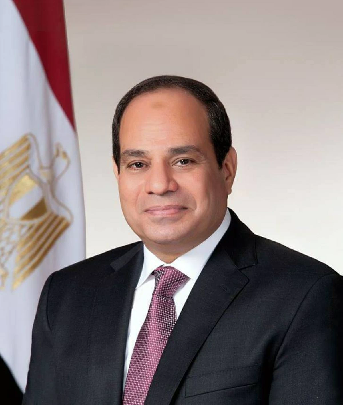 السيسي يؤكد أن استقرار الوطن العربي يتطلب تعاونًا شاملاً ومتواصلًا