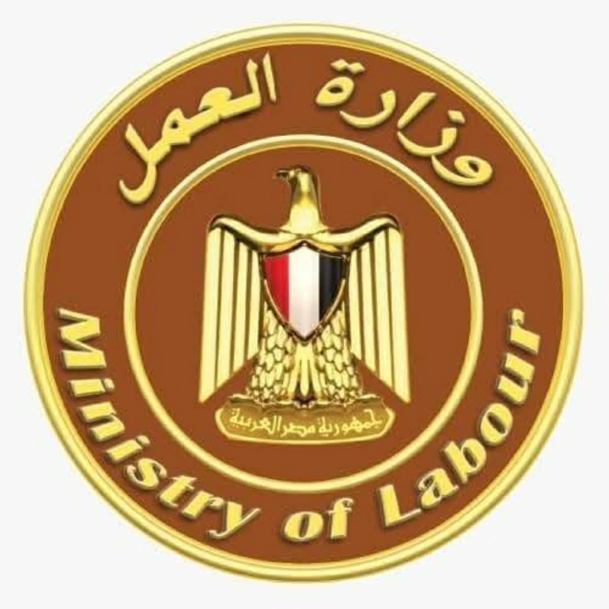 وزارة العمل المصرية تتدخل لدعم أسرة فقدت مصدر رزقها بعد رسالة طفل