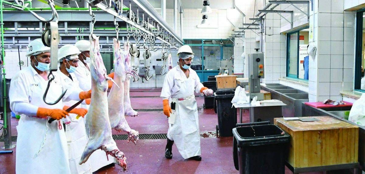 حكم التوكيل في ذبح الأضحية وفق فتوى الإمارات.. هل يشترط حضور المضحي؟