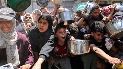اللجنة المصرية للإغاثة تبدأ توزيع لحوم مطهوة في قطاع غزة