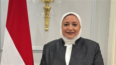 تصدير الكلاب خيار أفضل من الإعدام وكيف يمكننا استثمار هذه الثروة