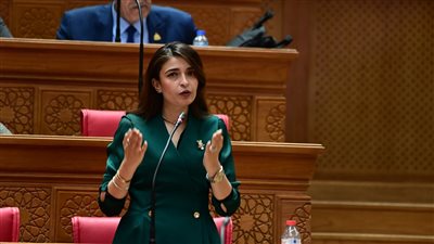 بعد مناقشة طلب النائبة إيرين سعيد.. الرئيس السيسي يوافق على مقترح تحسين أجور العاملين بالإسعاف