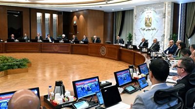 الحكومة تعيد تنظيم شركاتها بدلاً من بيعها