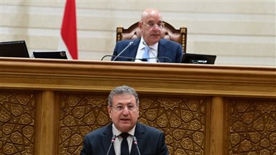 مجلس النواب يوافق على انضمام مصر إلى اتفاقية التجارة التفضيلية بين الدول الإسلامية الـ8 النامية