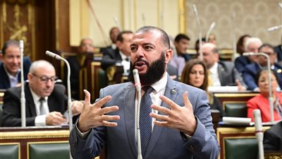 غدًا.. رياضة النواب تناقش طلب إحاطة للنائب أحمد خليل خيرالله بشأن انهيار سور مركز شباب العامرية