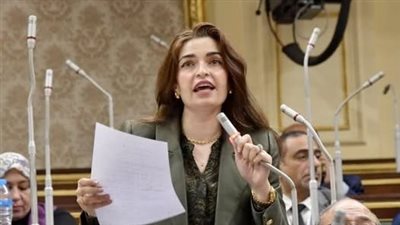 النائبة إيرين سعيد تتقدم بطلب إحاطة بشأن مخالفات إدارية وقانونية في اتحاد السباحة واللجنة الأولمبية المصرية
