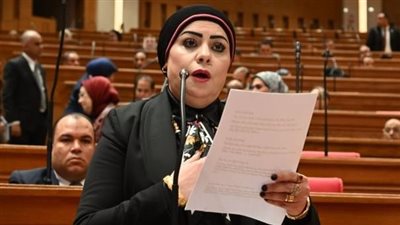 انتهاك للقانون الدولي واستفزاز لمشاعر المسلمين