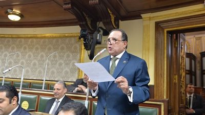 أمن الكويت والبحرين جزء لا يتجزأ من الأمن القومي المصري