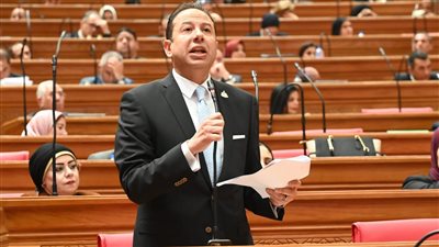 النائب حسن عمار لـ تحيا مصر: الهدوء الإقليمي وعودة الملاحة بقناة السويس بشكل طبيعي يفتح الباب أمام صعود الجنيه مجددًا