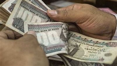 وزارة العمل تعلن 4504 وظيفة جديدة في 14 محافظة خلال يونيو 2026