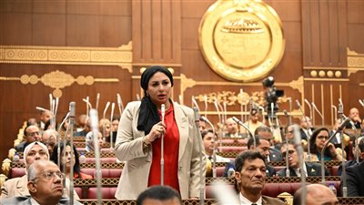 شيرين صبري تطالب الحكومة بسيناريوهات لمواجهة التضخم والاضطرابات الإقليمية