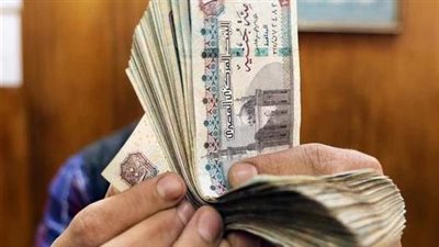 ناجى الشهابي: الدعم النقدي يفقد قيمته الشرائية مع التضخم ولا بديل عن الدعم العيني دون ضمانات حقيقية