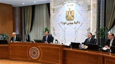 الحكومة تقترب من إطلاق مبادرة لتحفيز المصانع والمنازل على تركيب ألواح الطاقة الشمسية