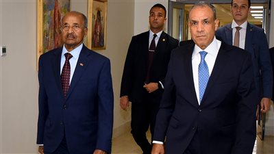 أمن منطقة القرن الأفريقي امتداداً مباشراً للأمن القومي المصري