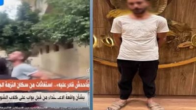 بسبب عقر نجل شقيقه.. ضبط حارس عقار لتعديه على كلب ضال في النزهة