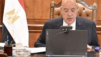 أمن الدول العربية جزء لا يتجزأ من الأمن القومي المصري والقضية الفلسطينية ستظل القضية المركزية للأمة