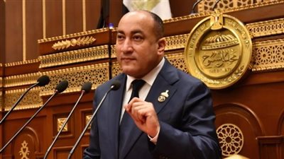 عمرو رشاد يطالب بملاحقة مروجي الدعارة إلكترونيًا وتفعيل نصوص القانون الرادعة
