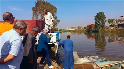 إطلاق ٢٥٠ ألف زريعة مبروك ببحر أبو الأخضر بالشرقية