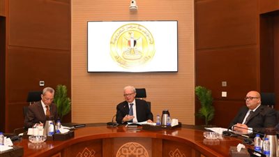 نائب رئيس الوزراء للشؤون الاقتصادية يتابع جهود إعادة هيكلة وحوكمة الشركات المملوكة للدولة لتعزيز كفاءتها وتعظيم عوائدها