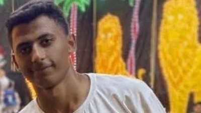 “اطلع يا محمد”.. تكثيف جهود البحث عن طالب غرق بترعة نبروه بالدقهلية