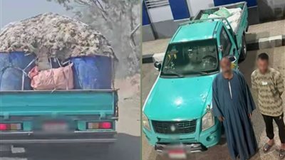 الداخلية تكشف حقيقة فيديو الدواجن النافقة داخل سيارة نصف نقل