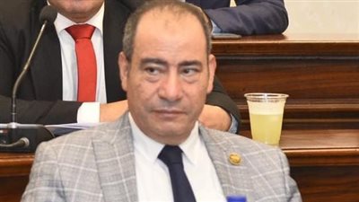 التحركات المصرية تعكس التزامًا راسخًا بدعم القضية الفلسطينية وترسيخ الاستقرار الإقليمي