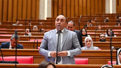 حسام الخشت يطالب الحكومة بمراجعة منظومة تعويضات نزع الملكية وضمان حقوق المواطنين