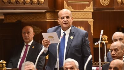 12 مليار دولار استثمارات مصرية بأفريقيا تعكس قوة الدولة.. وسد جوليوس نيريري في تنزانيا شاهد على عمق العلاقات